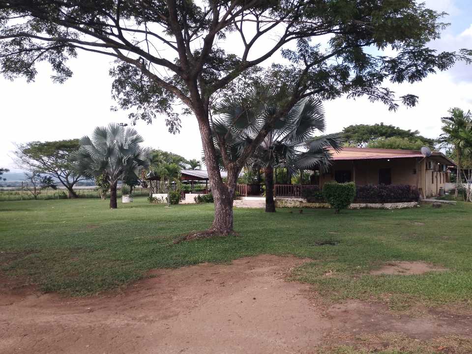 FINCA EN VENTA TINAQUILLO EDO COJEDES AG-7057561 - Foto 2