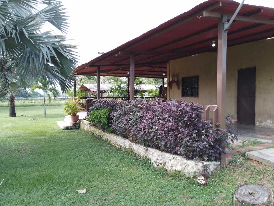 FINCA EN VENTA TINAQUILLO EDO COJEDES AG-7057561 - Foto 4