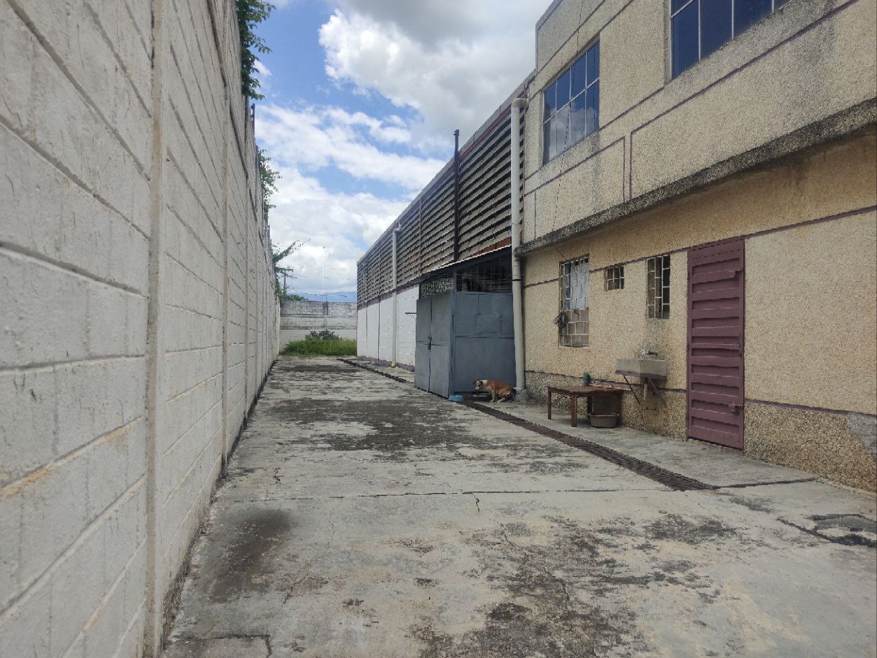 Galpon en alquiler en zona industrial la guacamaya EM-8370175 - Foto 9
