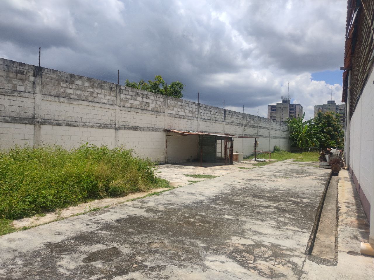 Galpon en alquiler en zona industrial la guacamaya EM-8370175 - Foto 4
