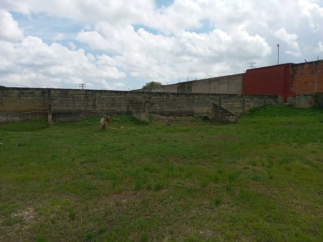 Terreno en venta en Z.I La Guacamaya MC-8370489 - Foto 6