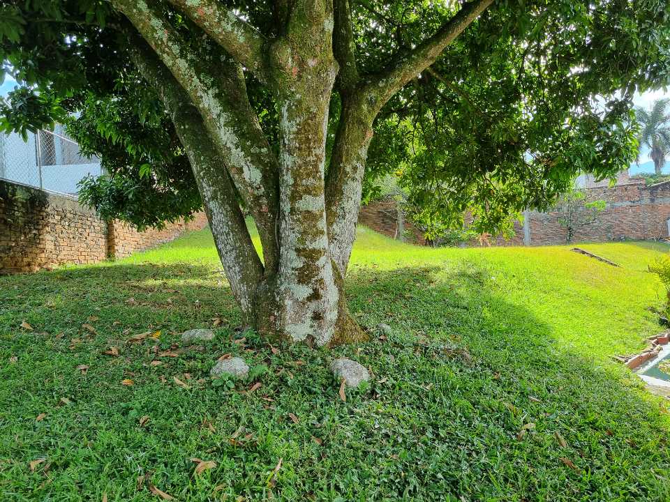 Vendo casa en ciudad jardín Cali W6853620 ISA