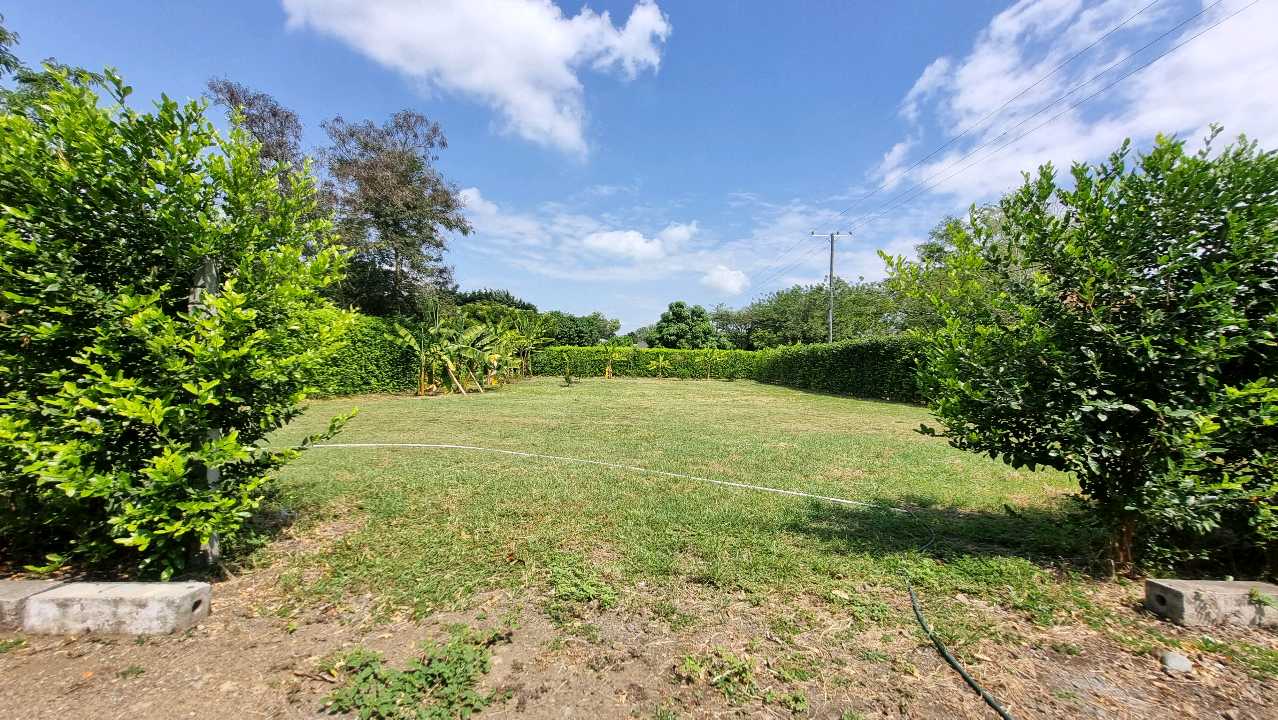 Venta de lotes campestres en condominio Guacari W8409730-ISA
