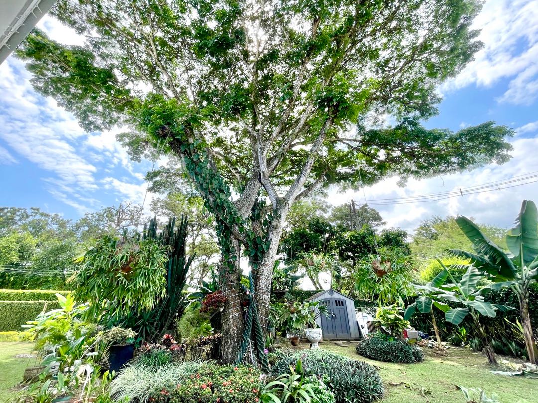 VENDO CASA CAMPESTRE EN LA MORADA JAMUNDÍ 588M2 Lote3000M