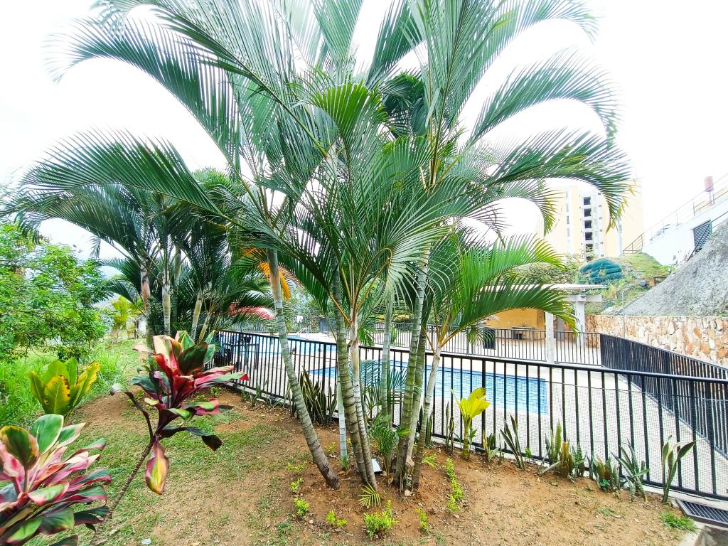 APARTAMENTO EN VENTA AL OESTE DE CALI BARRIO AGUACATAL