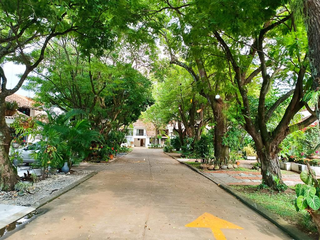 VENDO CASA EN BOSQUE DEL LIMONAR-CALI