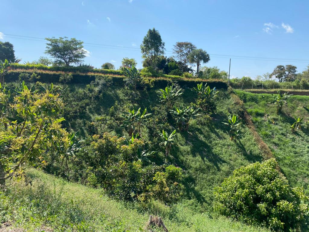 Vendo lote en Pereira