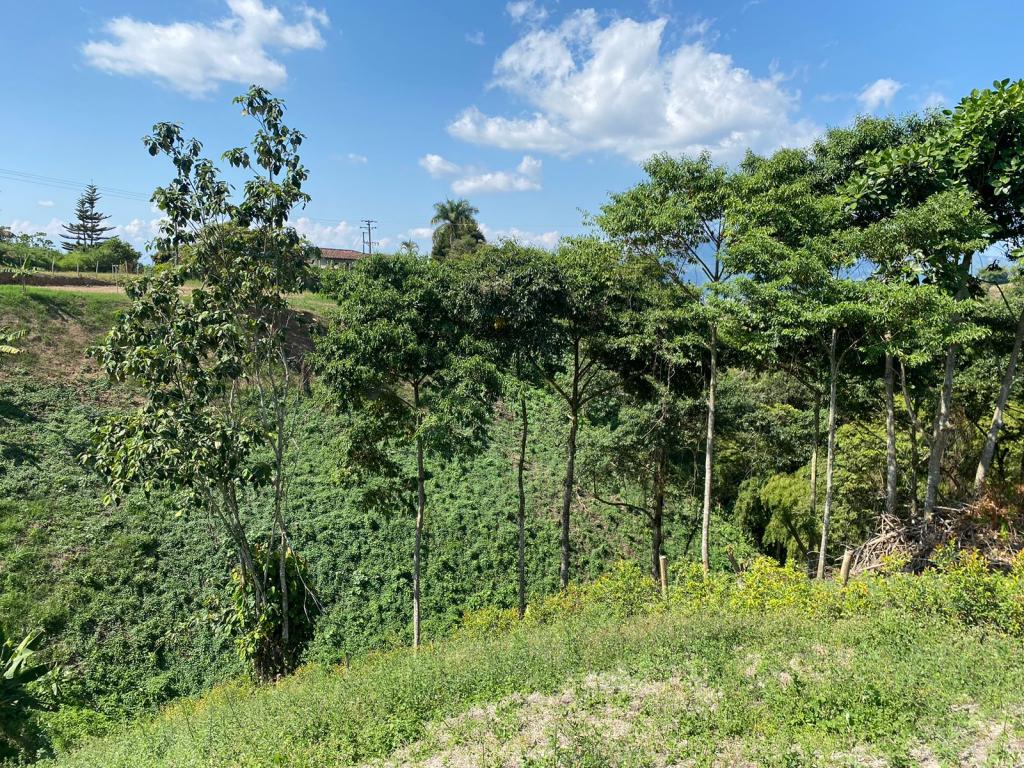 Vendo lote en Pereira