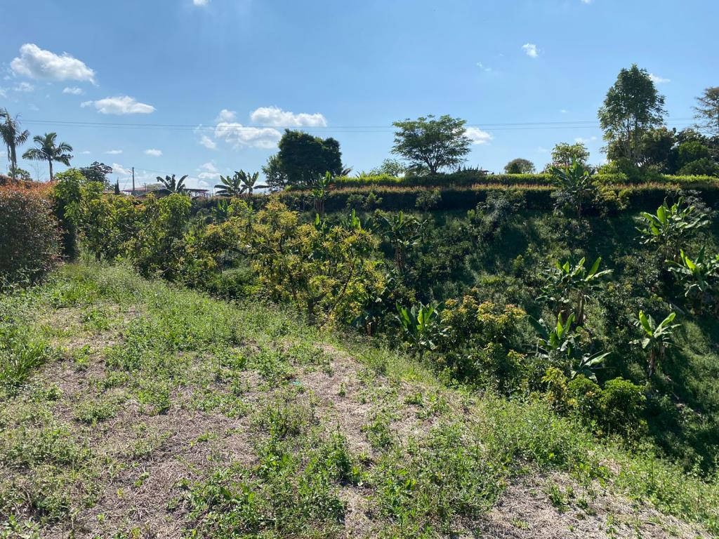 Vendo lote en Pereira