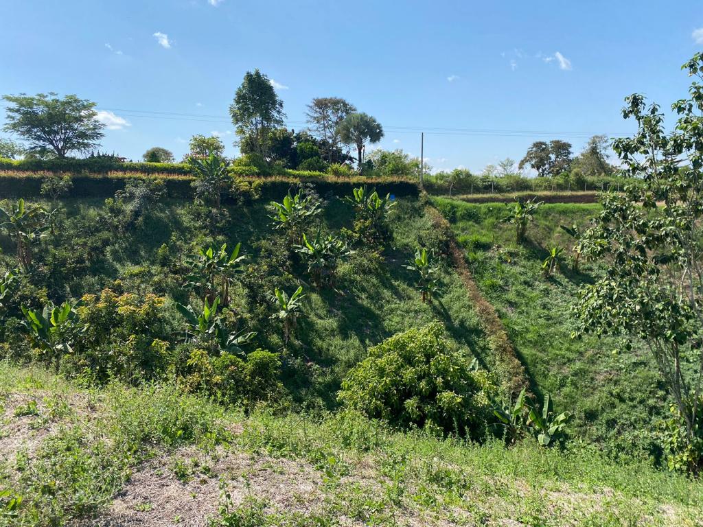 Vendo lote en Pereira