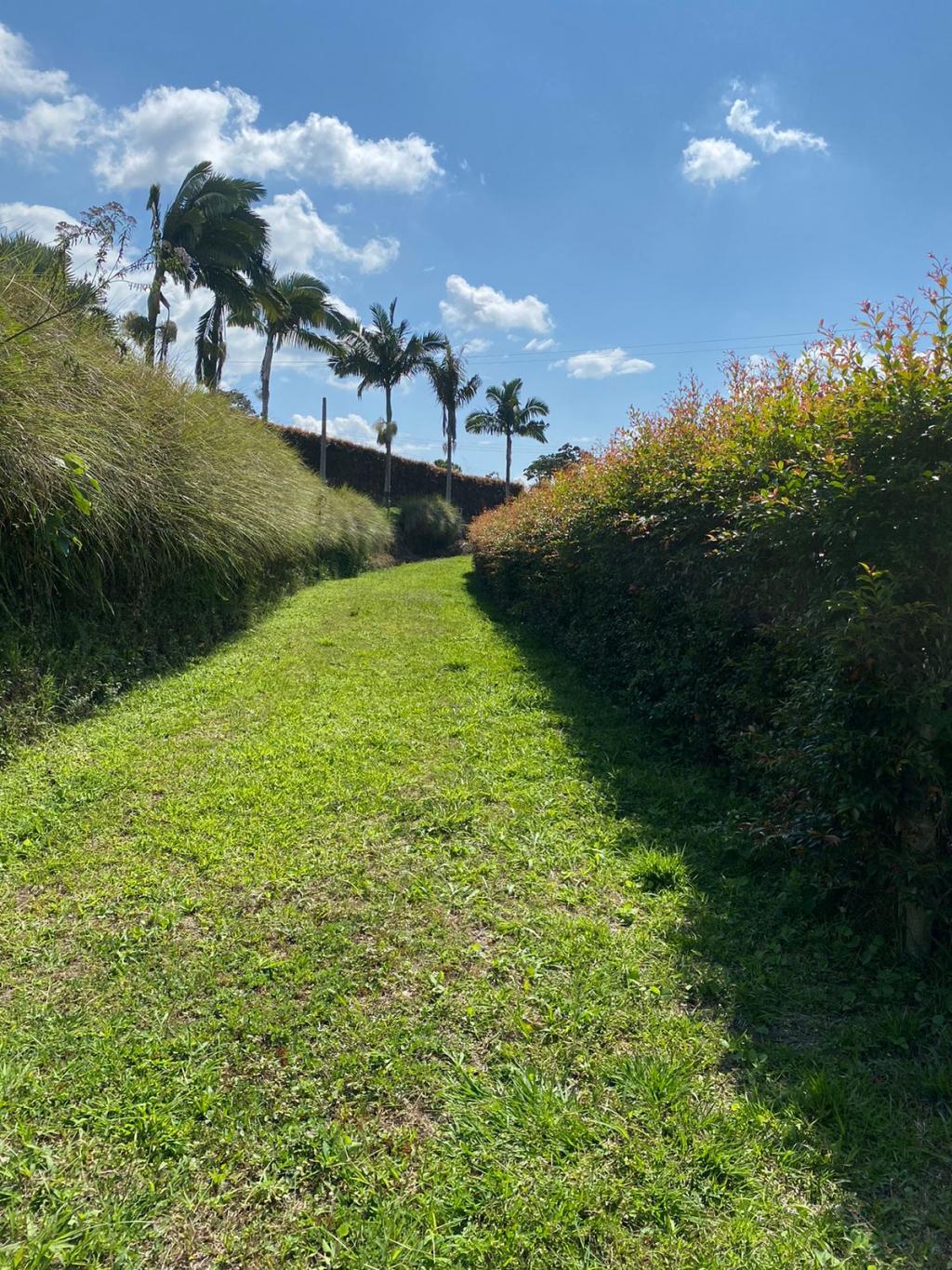 Vendo lote en Pereira