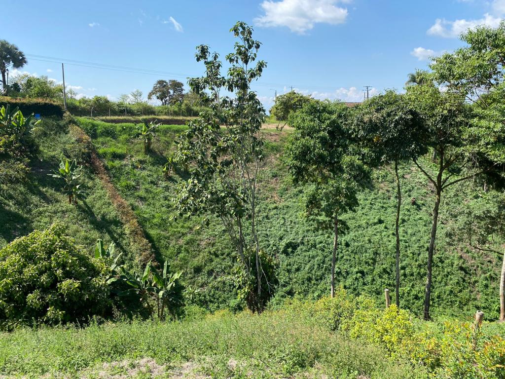 Vendo lote en Pereira