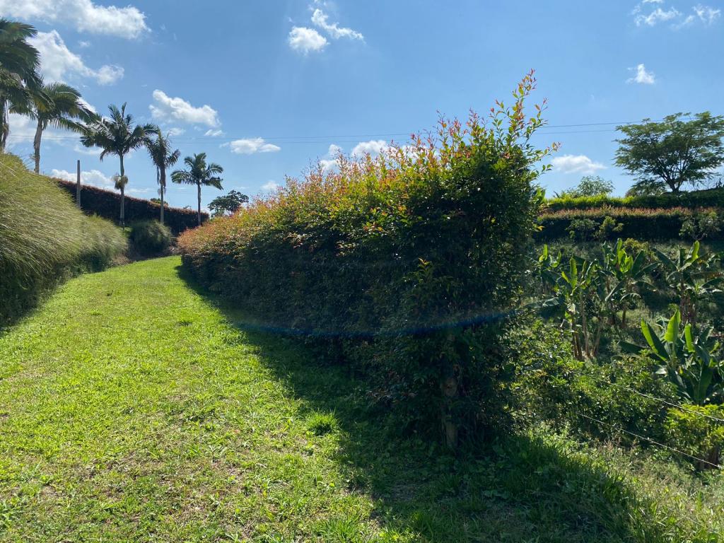 Vendo lote en Pereira