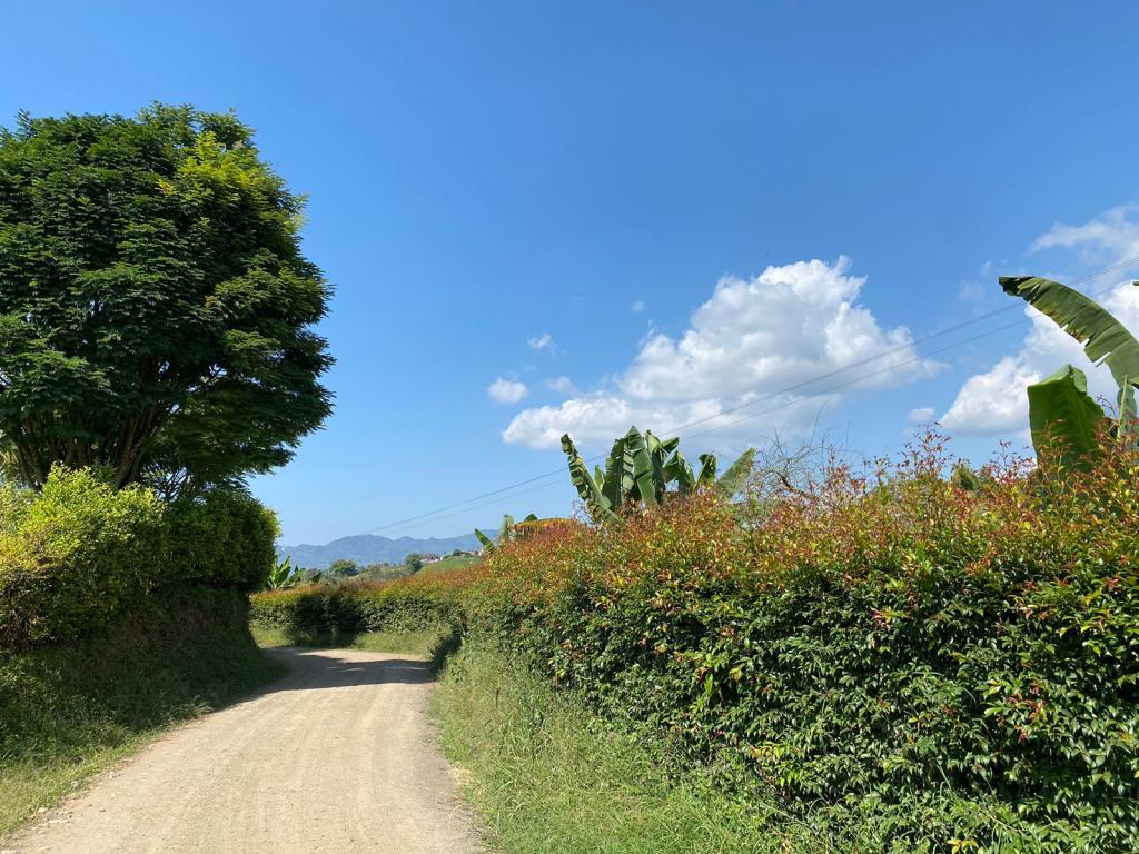 Vendo lote en Pereira