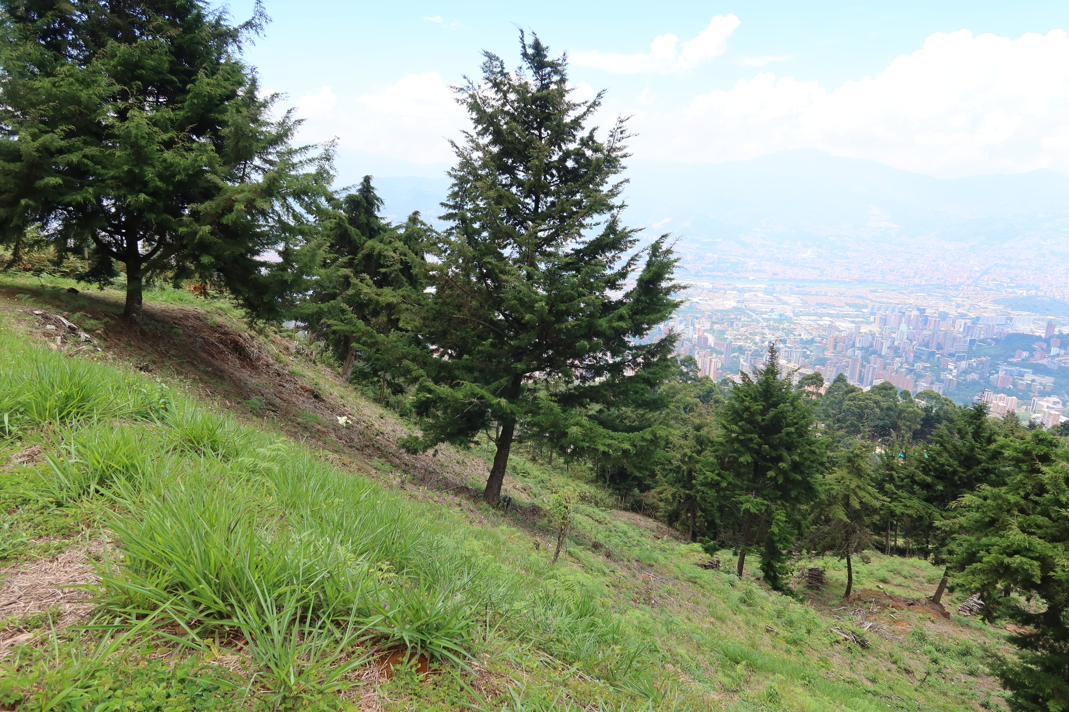 venta lote en las palmas Medellin urbanización cerrada 