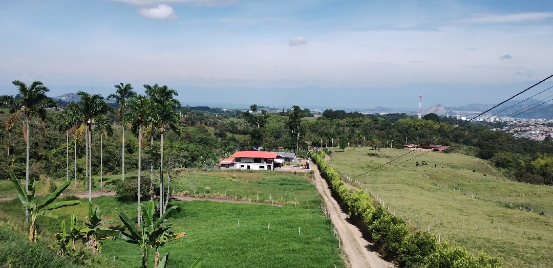 Venta Lotes Mundo Nuevo Risaralda 