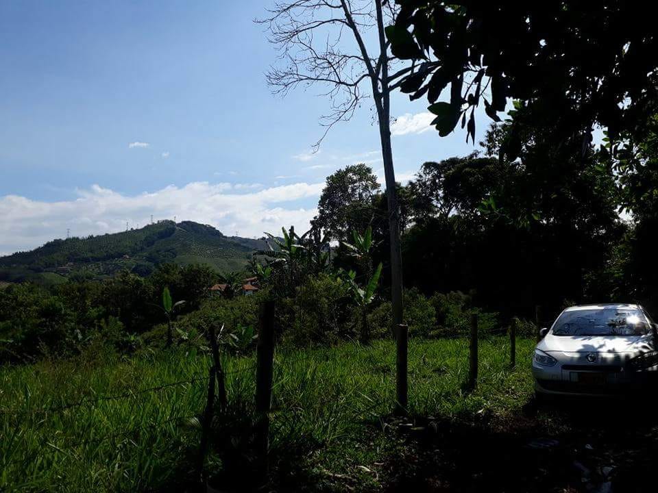 Venta Lote Las Margaritas Caldas