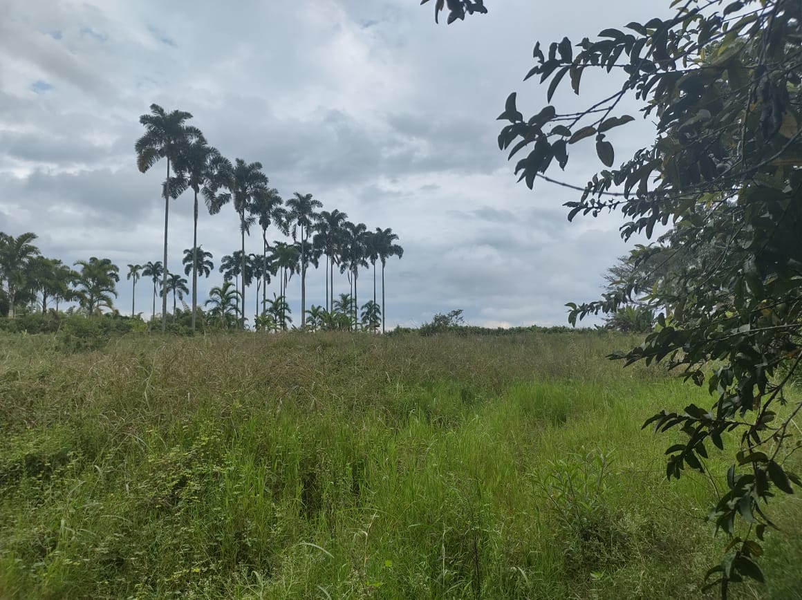 Venta de Lote Cerritos Pereira