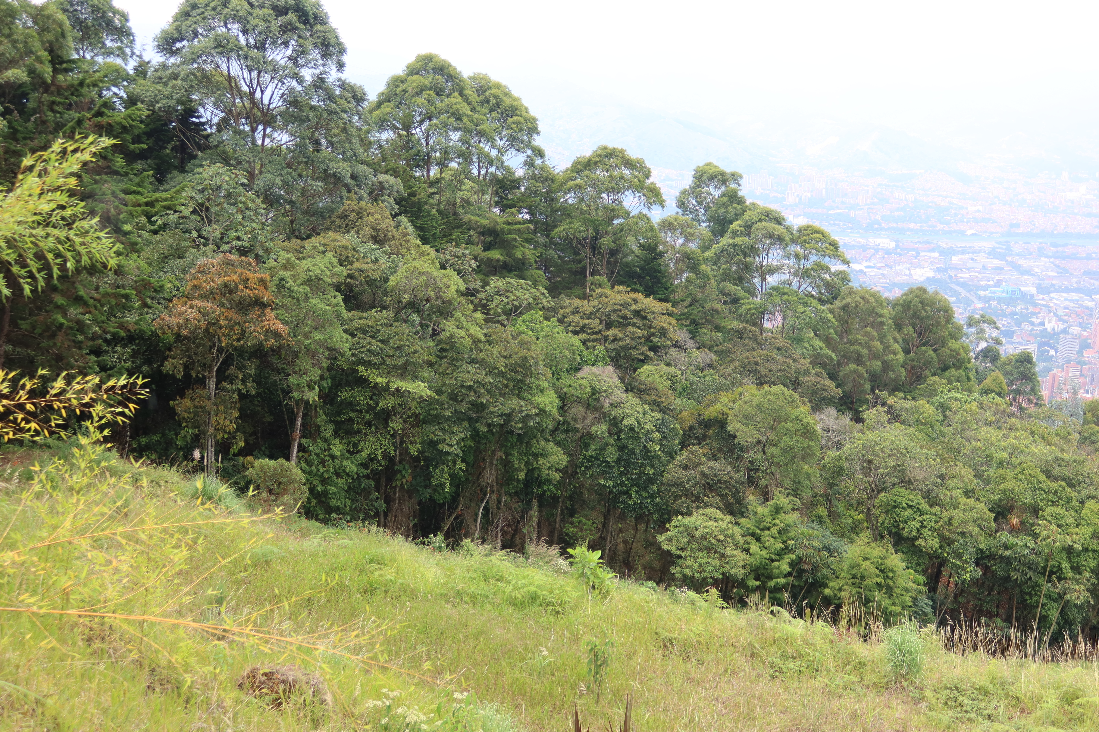 Venta lote las palmas Medellin urbanización cerrada 