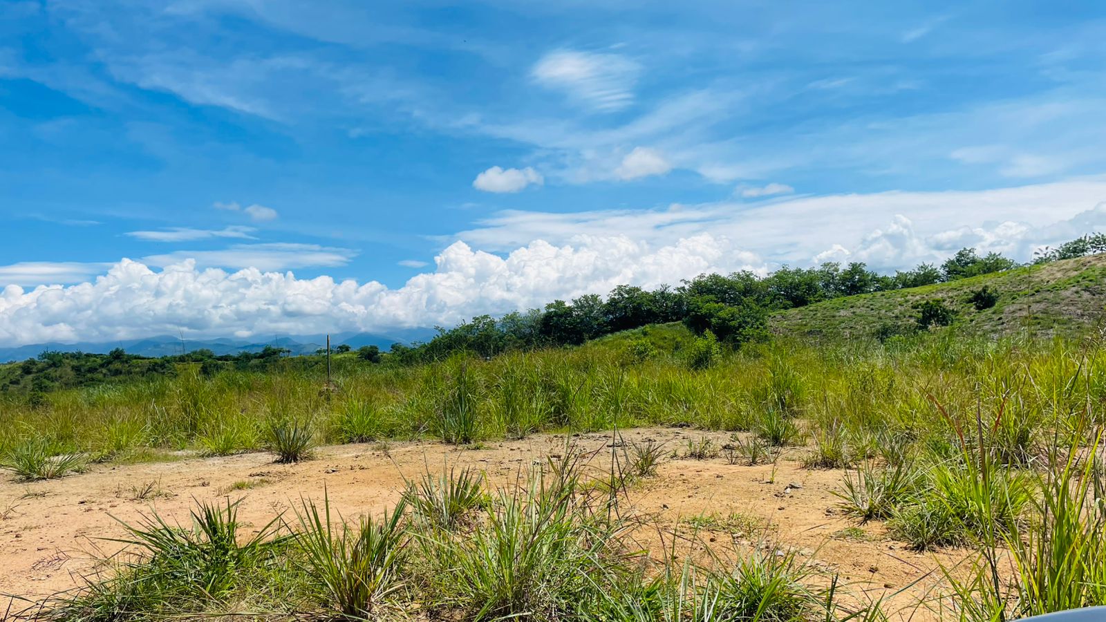 Venta lote Campestre Cerritos la Virginia