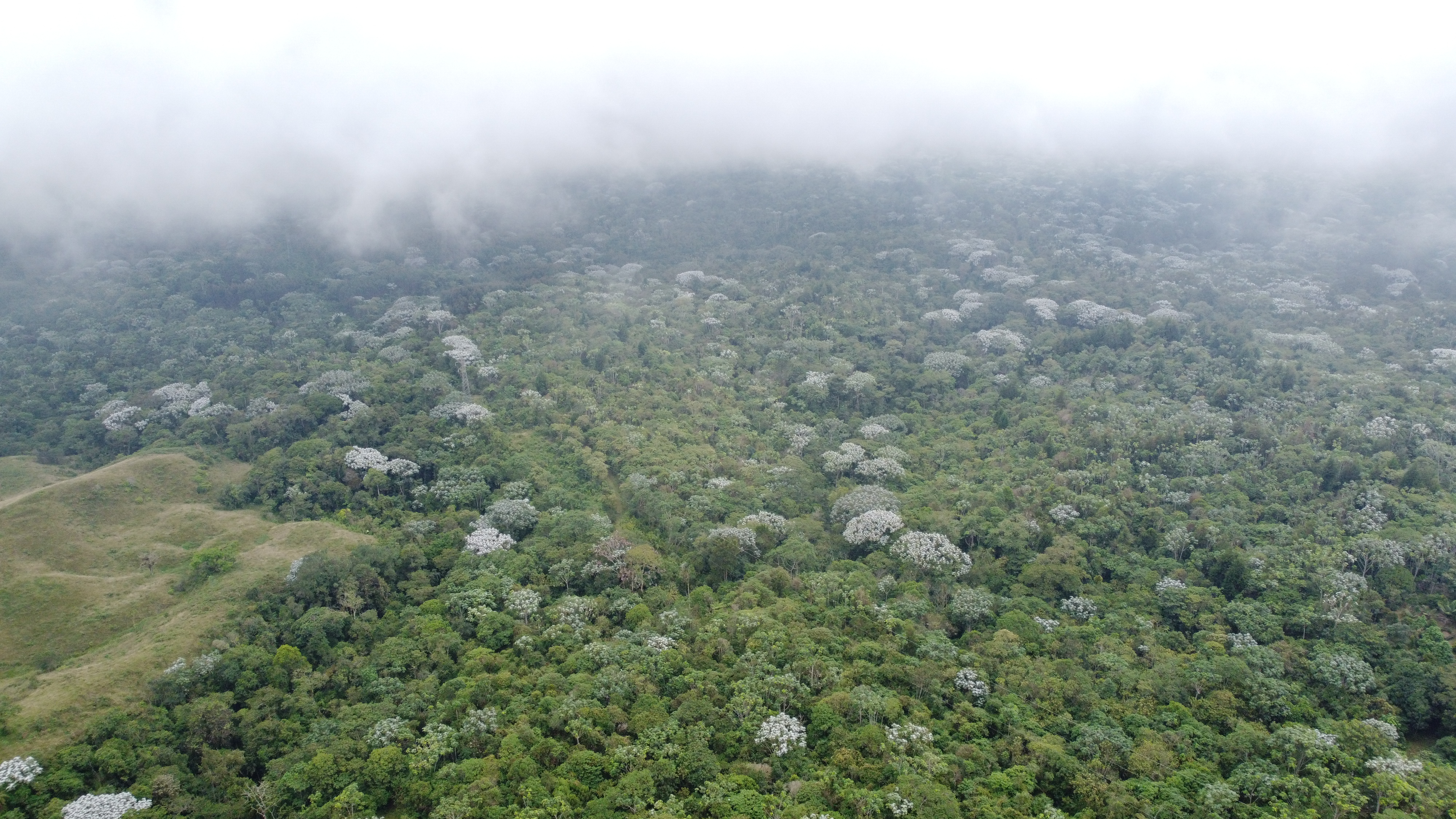Imagen de FINCA EN VENTA 