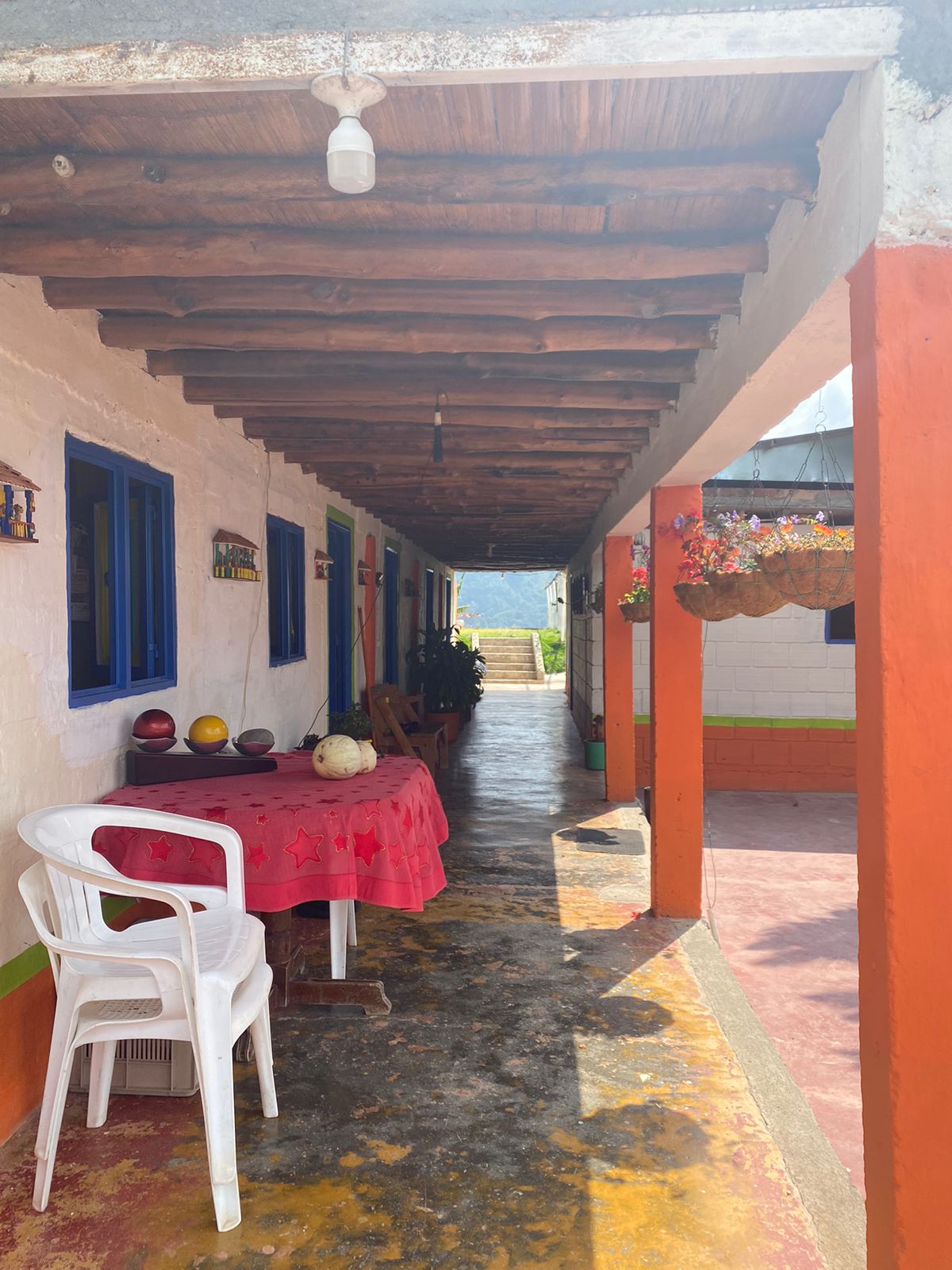 Imagen de FINCA EN VENTA 