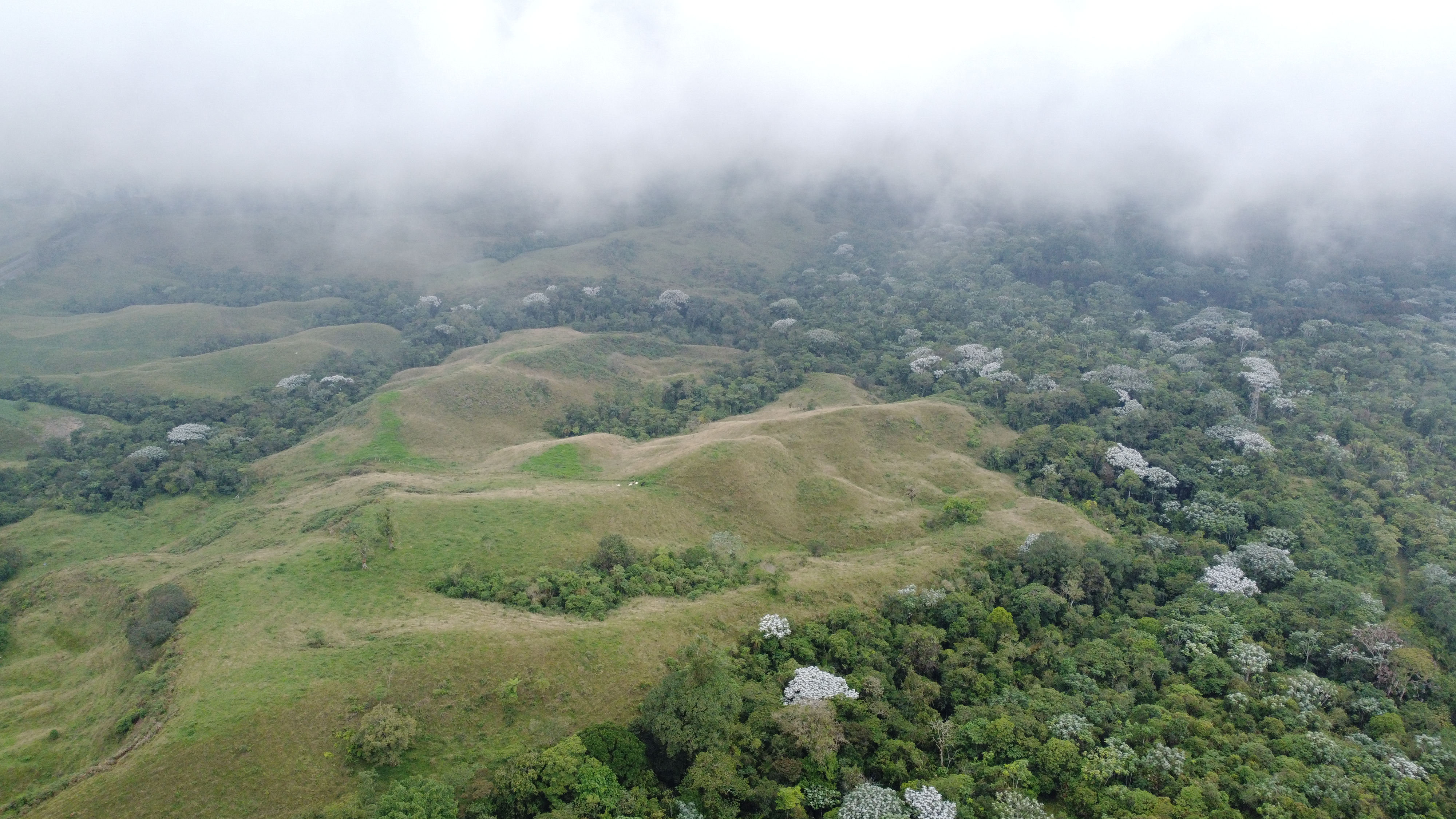 Imagen de FINCA EN VENTA 