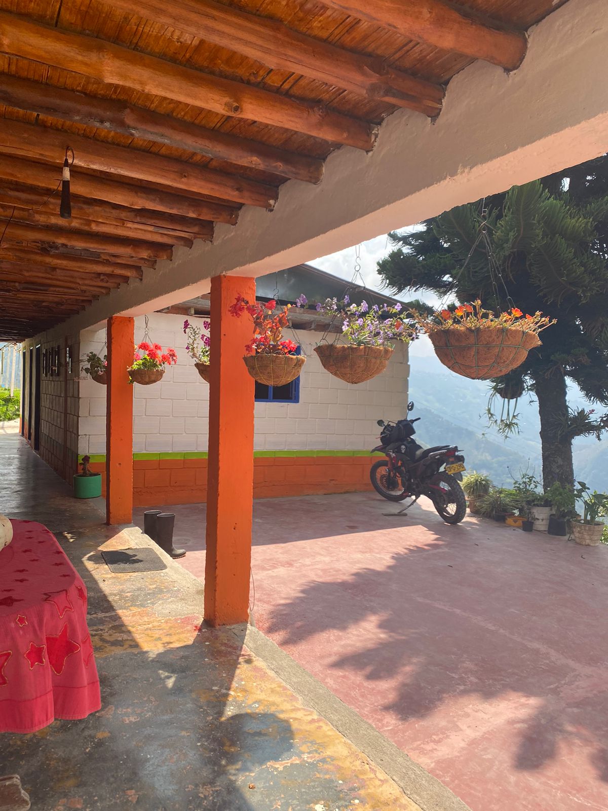 Imagen de FINCA EN VENTA 