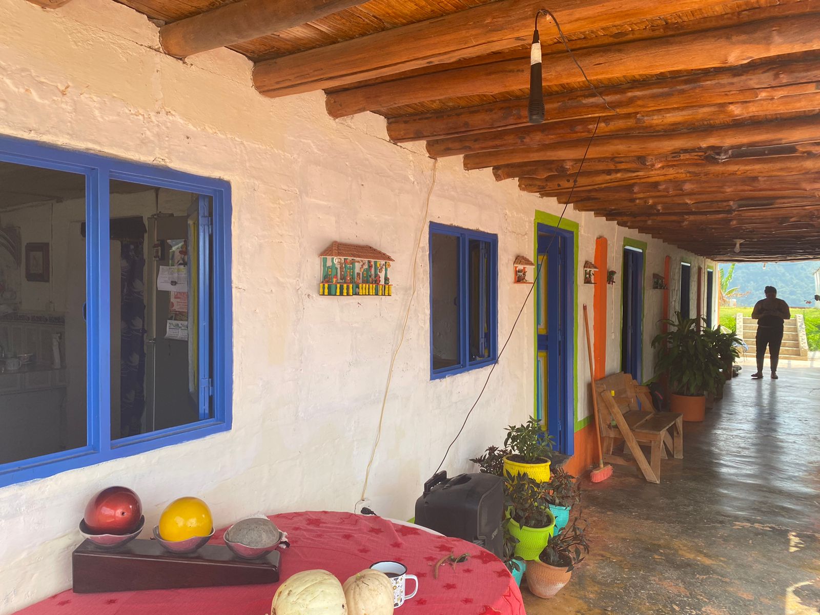 Imagen de FINCA EN VENTA 