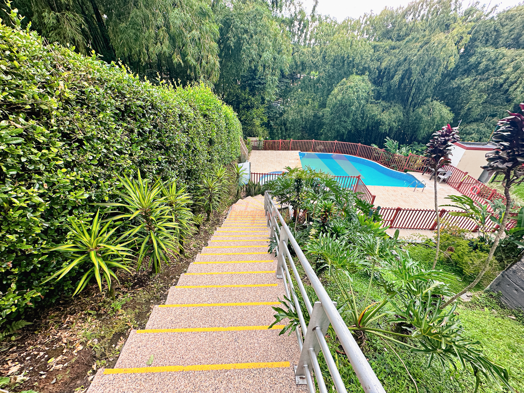 Imagen de APARTAMENTO EN VENTA/RENTA CERCA ALAMOS