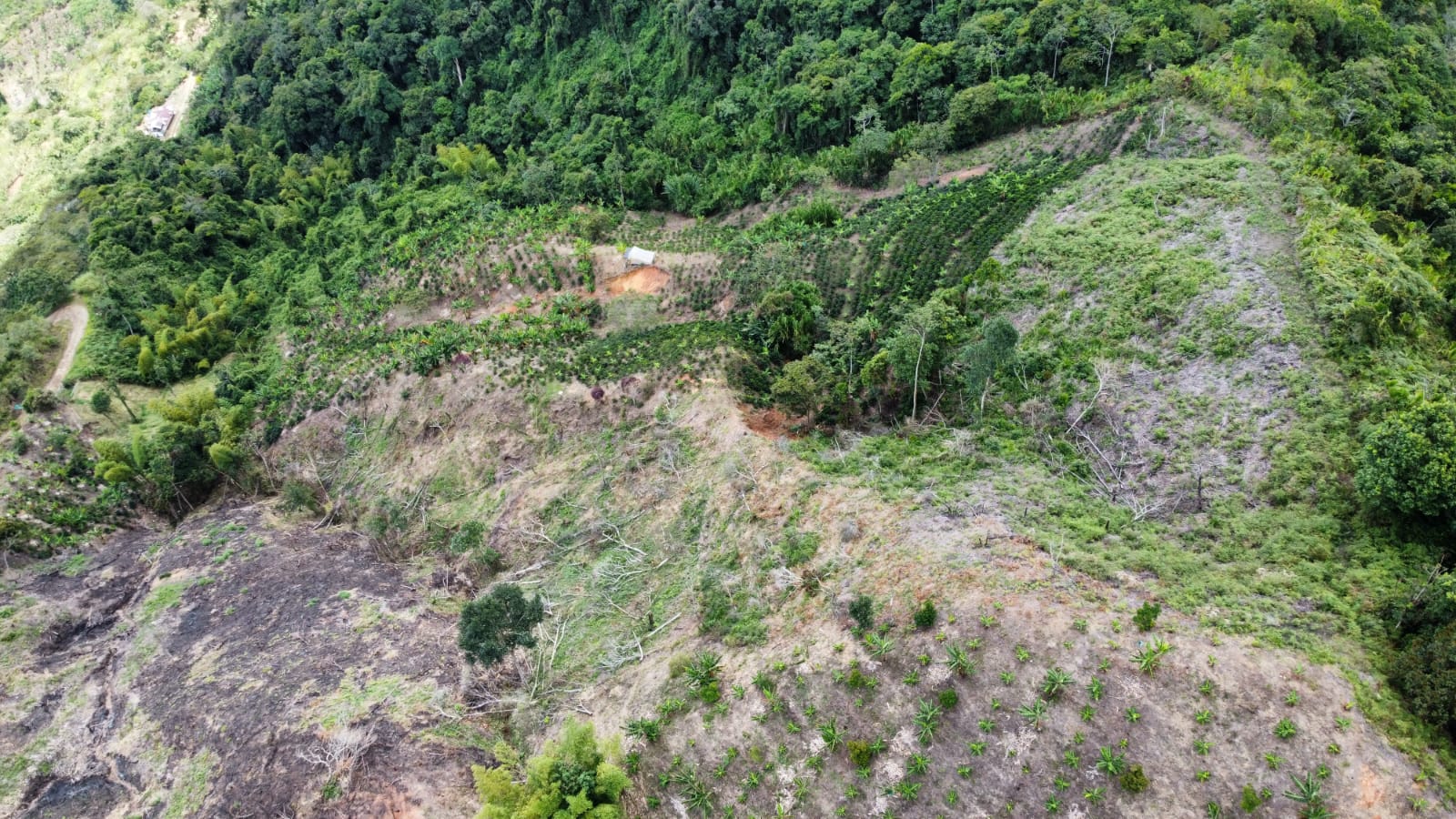 Imagen de FINCA EN VENTA 