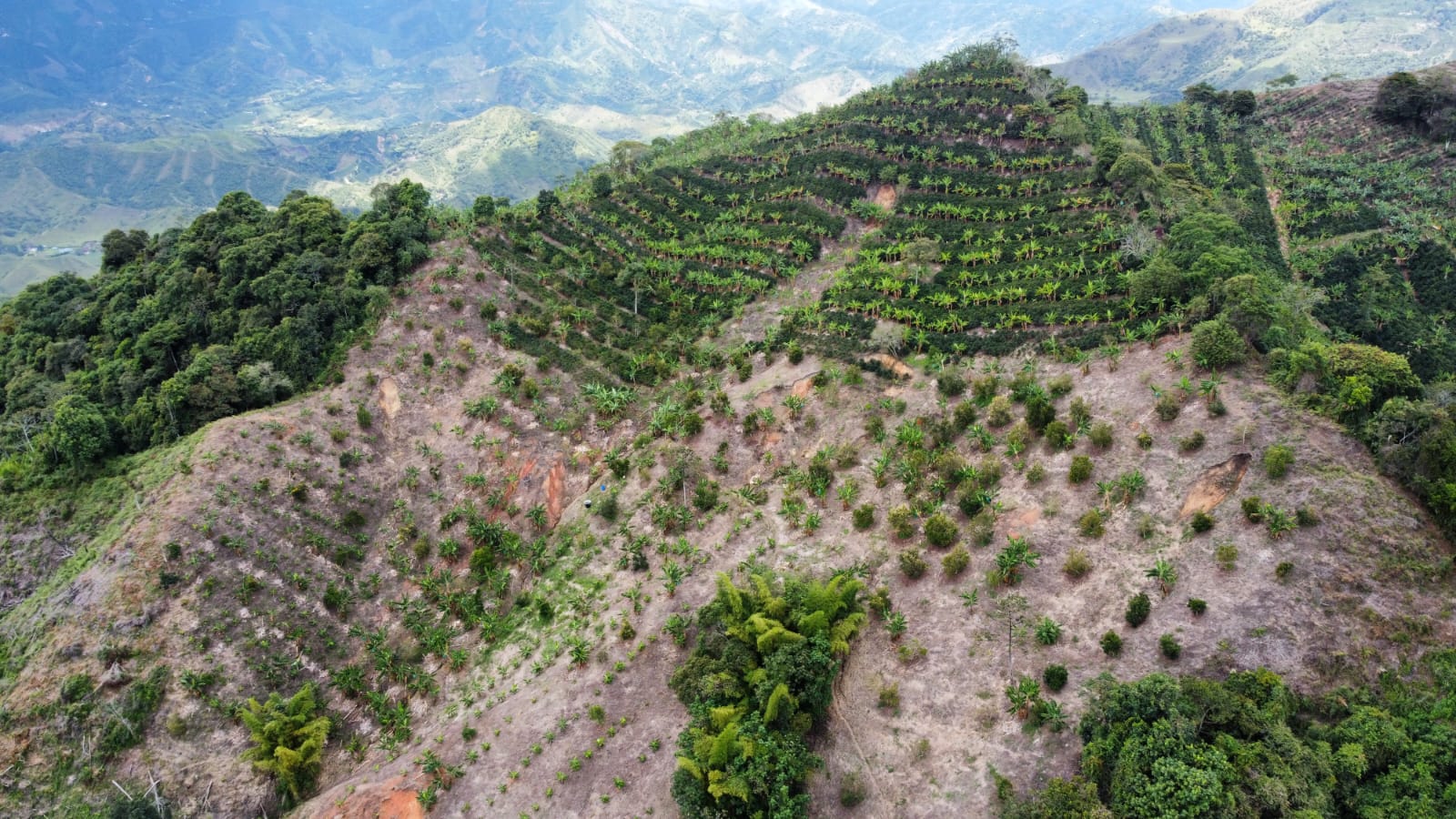 Imagen de FINCA EN VENTA 
