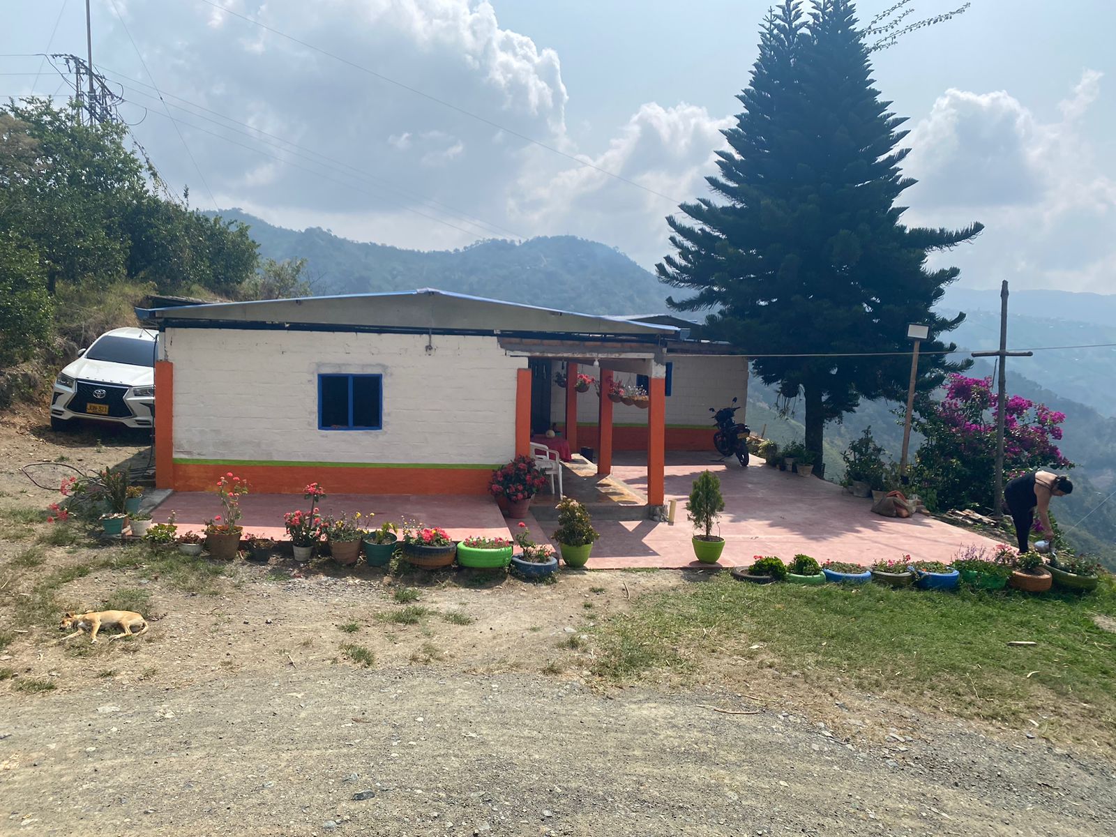 Imagen de FINCA EN VENTA 