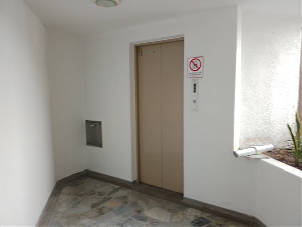 Imagen de APARTAMENTO EN RENTA EN PINARES