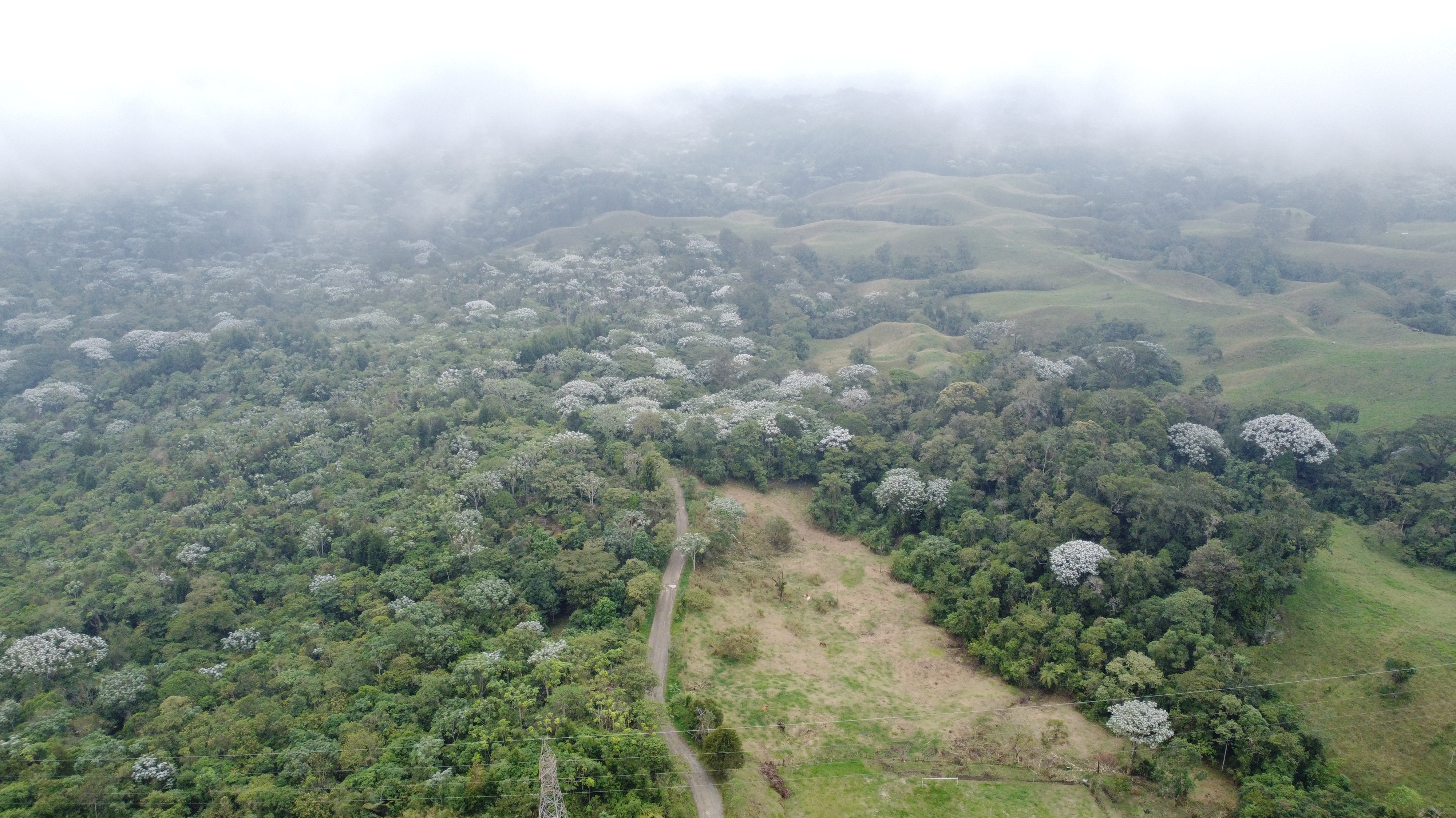 Imagen de FINCA EN VENTA 