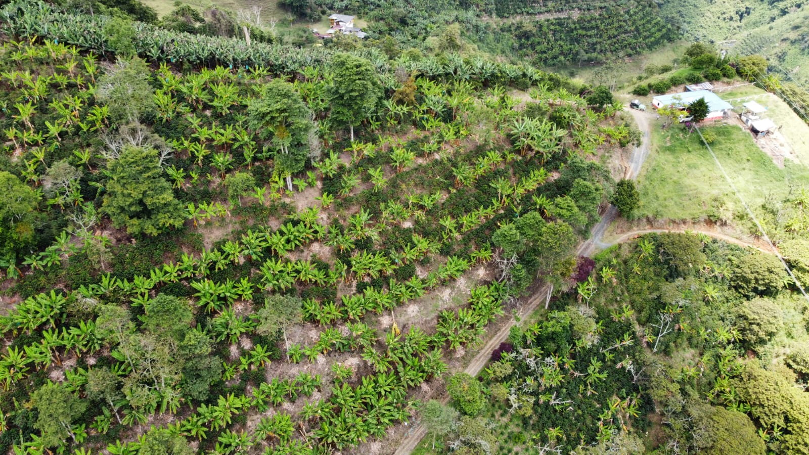 Imagen de FINCA EN VENTA 