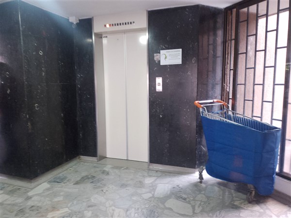 Imagen de APARTAMENTO EN RENTA EN PINARES