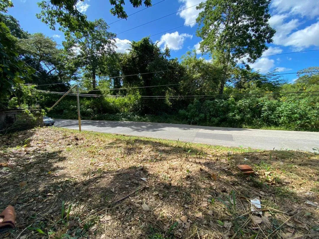 TERRENO EN VENTA EN COLINAS DE GUATAPARO VALENCIA VENEZUELA MP-9070791 - Foto 8
