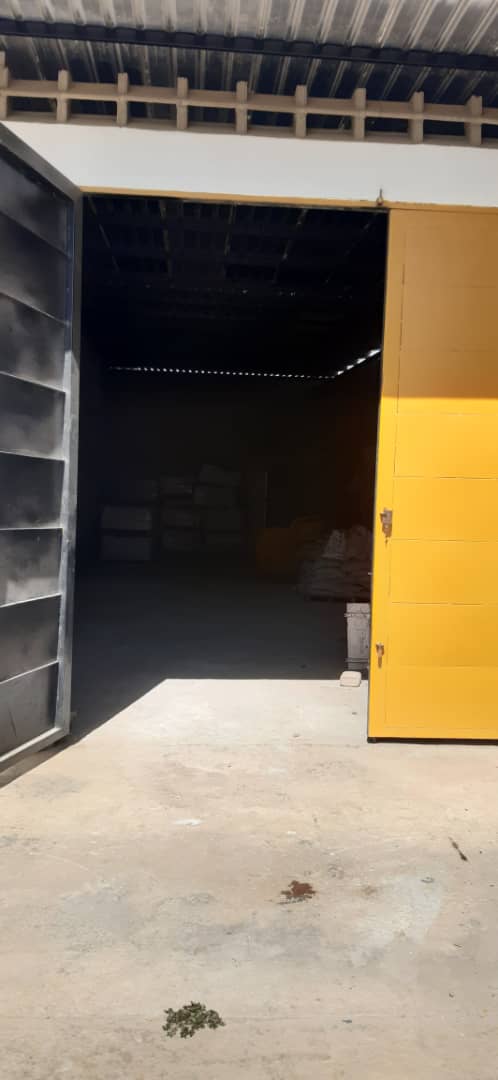 Gallery 1