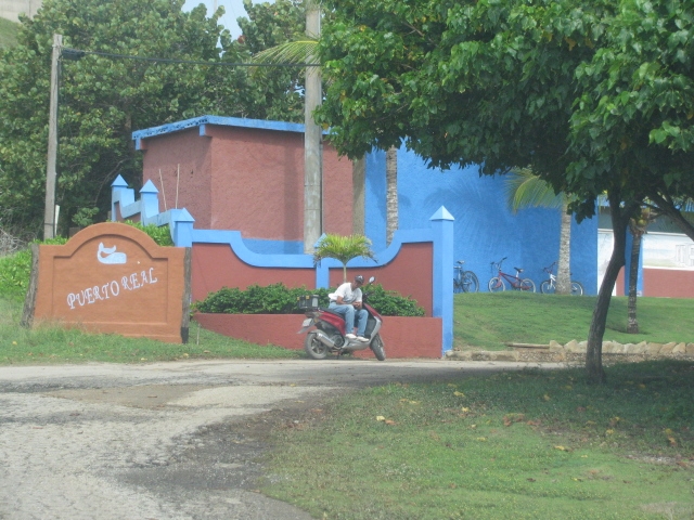 Gallery 1