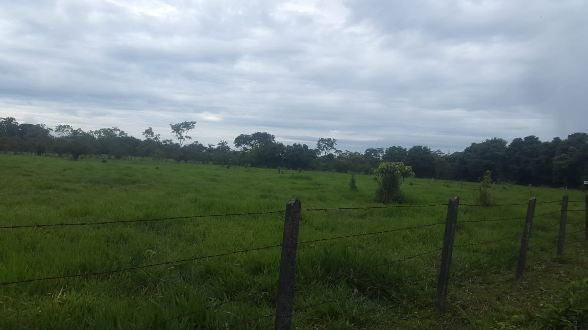 VENTA PERMUTA FINCA  ENTRE RESTREPO CUMARAL 