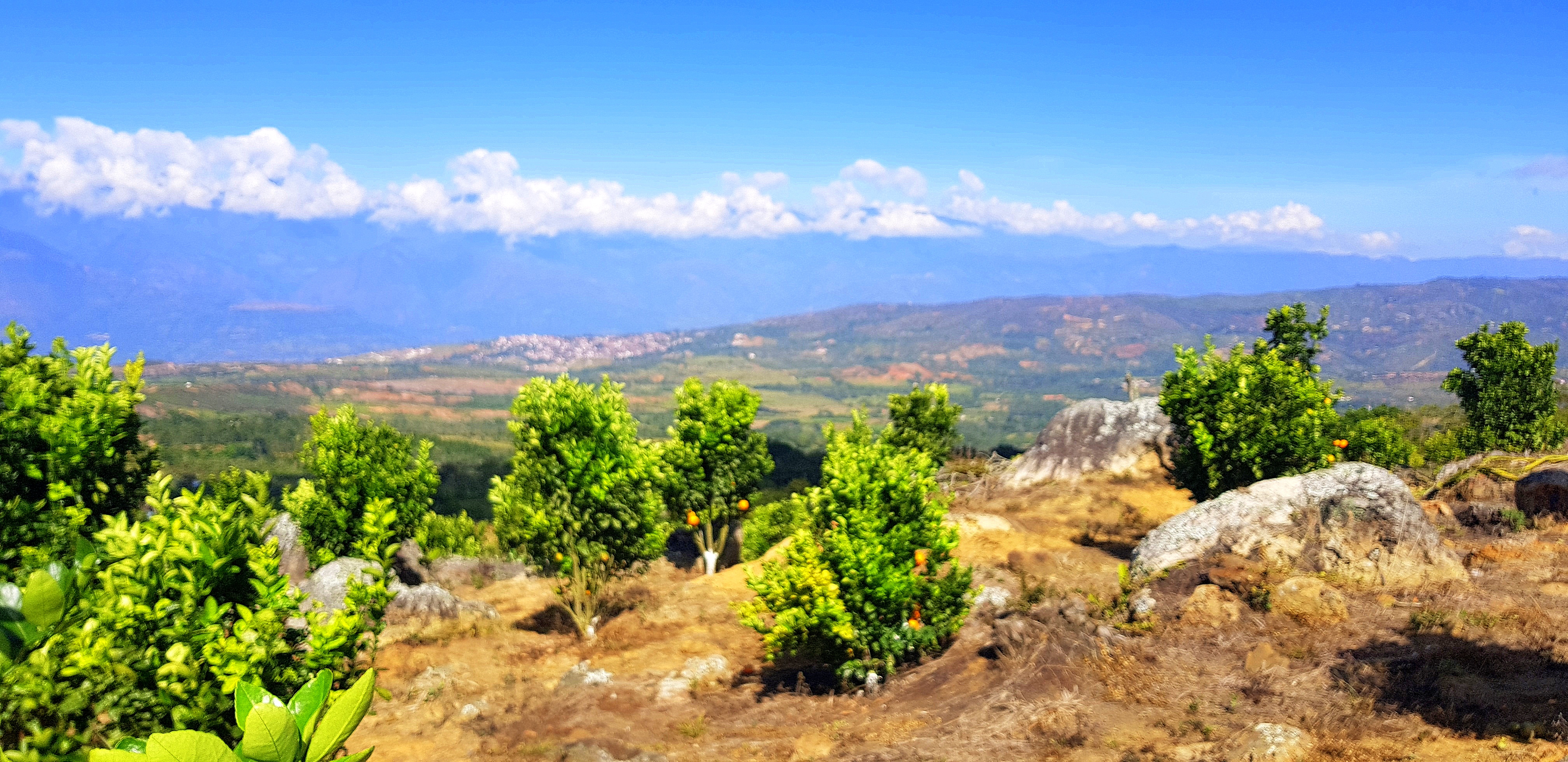 Finca en barichara - Productiva los Gaques 