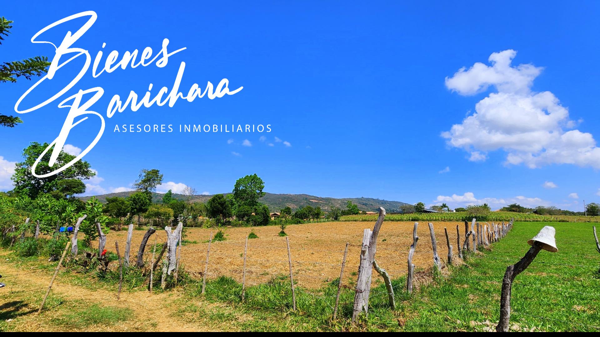 Lotes Loma del Viento Vda. San Jose Barichara