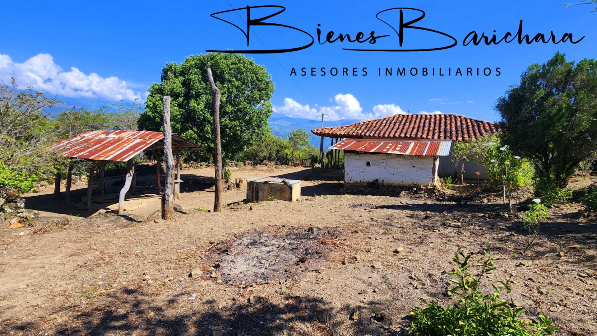 Vendo Parcela Carrizal Pino Barichara 7155 M2