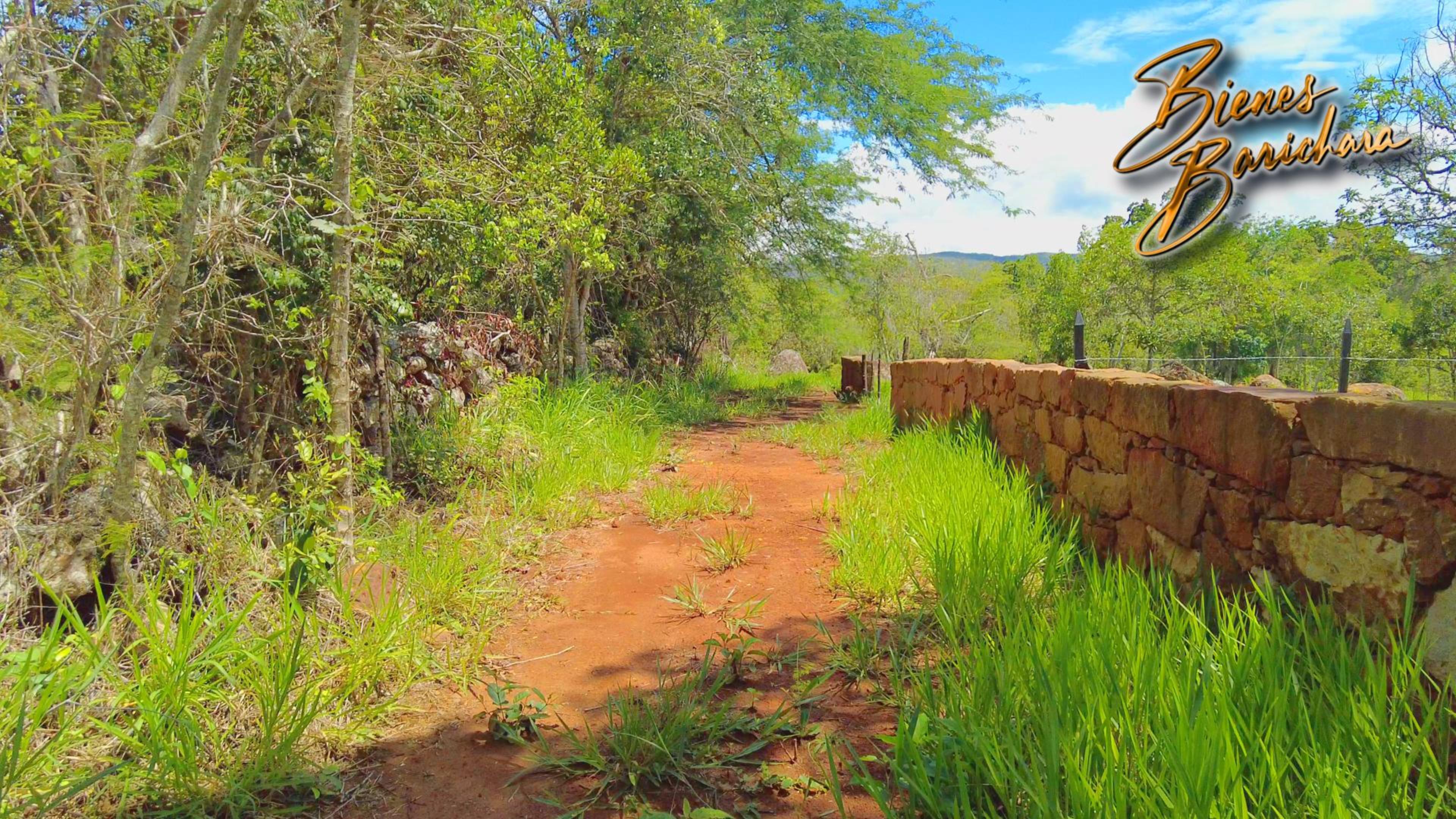 Vendo Parcela Las Abuelas Vda. Llano Barichara