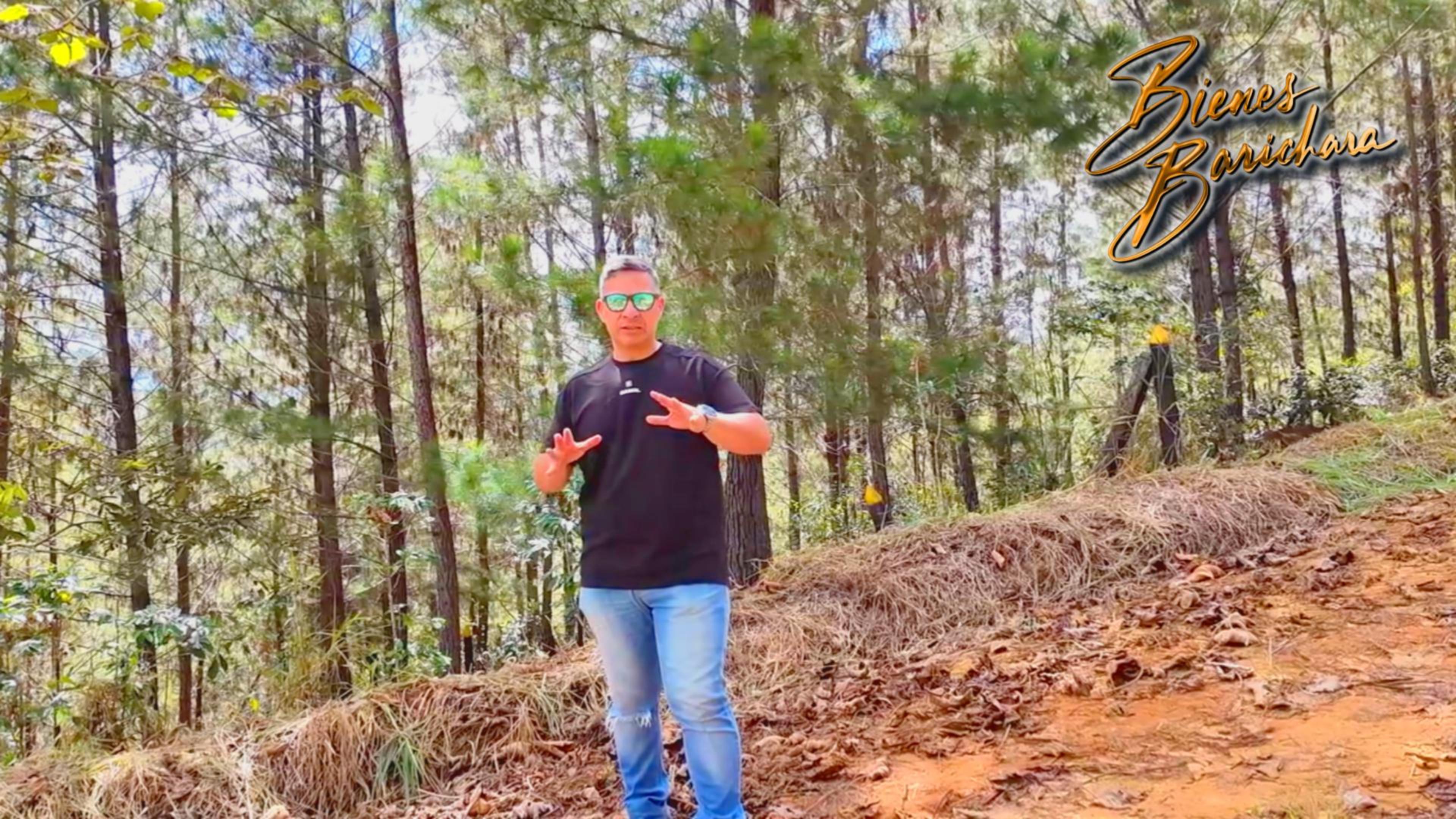 Vendo Parcela Pinar de Barichara Vda. Guayabal