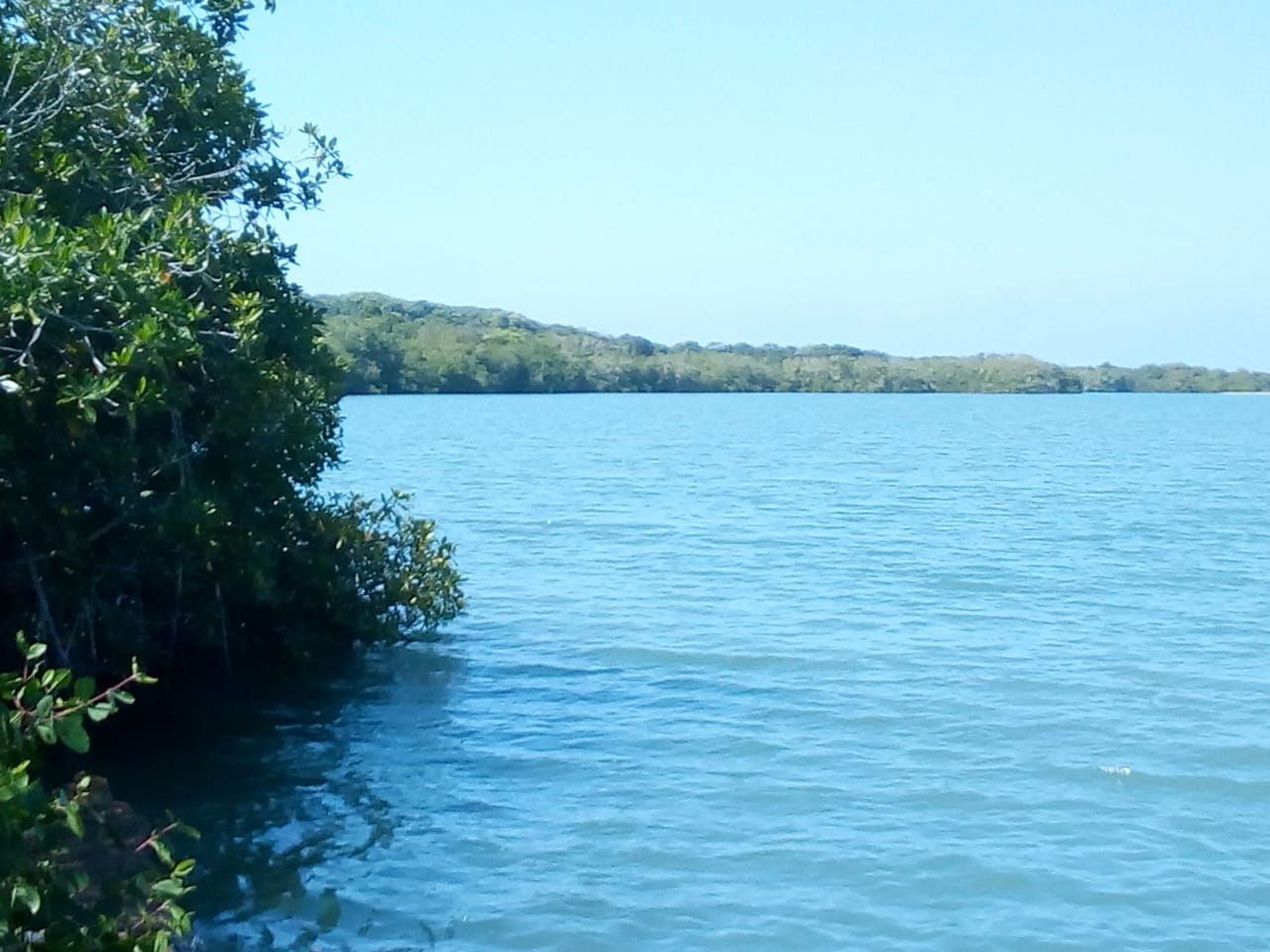 Lote en Venta, Barú - Cartagena.