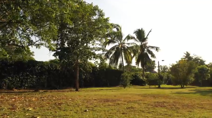 Arjona Venta Finca Arjona