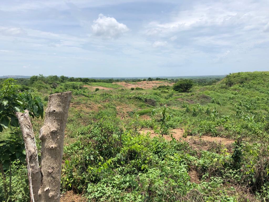 Cartagena Venta Lote Mamonal