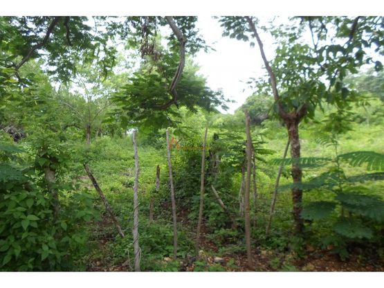 LOTE EN VENTA, TURBACO - CARTAGENA